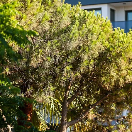 Apartment Krem Marin Cesme